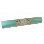 Простирадла зі спанбонду 0,6x100 метрів Pani Mlada м'ятного ...