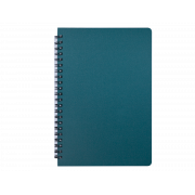 Книжка записная на пружине OFFICE А5 96 листов клетка пластиковая обложка зеленая Buromax