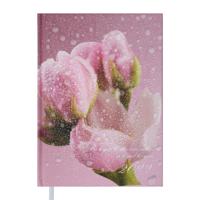 Ежедневник недатированный розовый POSH А5 288 листов Buromax Ежедневник недатированный розовый POSH А5 288 листов Buromax