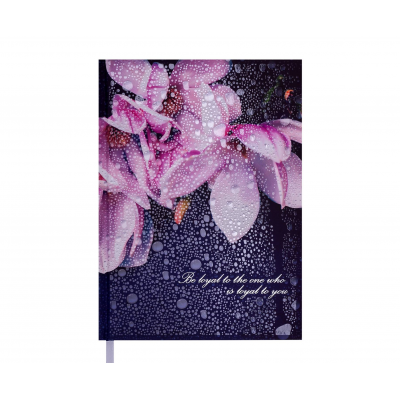 Ежедневник недатированный кобальтовый POSH А5 288 листов Buromax Ежедневник недатированный кобальтовый POSH А5 288 листов Buromax