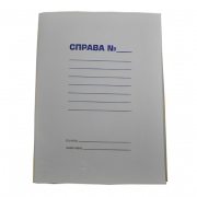 Папка Дело формата А4 3 мм