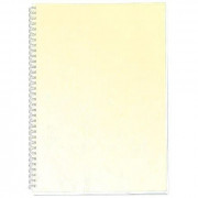 Обложка картонная А3 DELTA 250 мкм "под кожу" слоновая кость