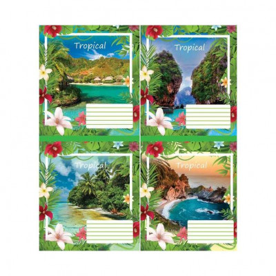 Зошит Мрії збуваються 2320к 18 аркцшів у клітинку Зошит Мрії збуваються 2320к 18 аркцшів у клітинку