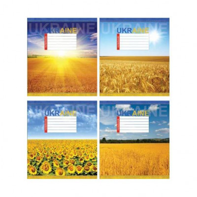 Тетрадь Мечты Сбываются 2696к 48 листов в клетку Тетрадь Мечты Сбываются 2696к 48 листов в клетку