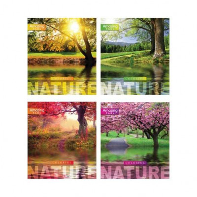 Тетрадь 2704к 60 листов в клетку Тетрадь 2704к 60 листов в клетку