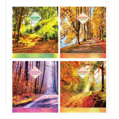 Зошит 2705к у клітинку 60 аркушів Зошит 2705к у клітинку 60 аркушів