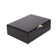 Папка-короб на завязках, картонная, А4, 100 мм, PP-покрытие ...